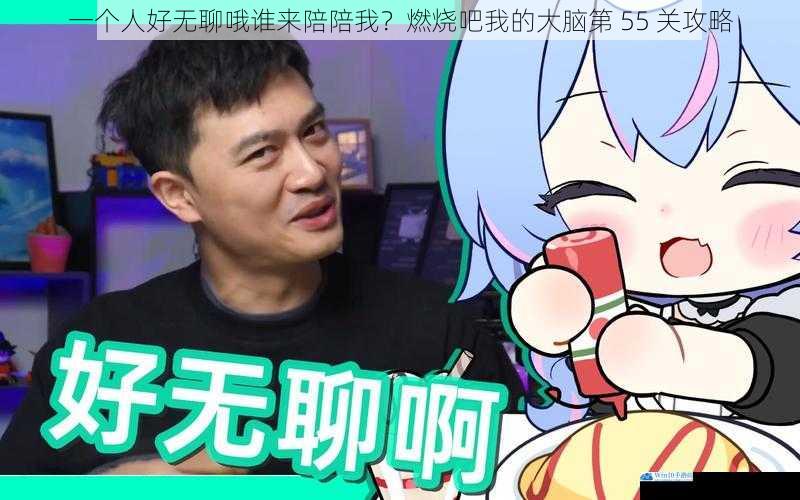 一个人好无聊哦谁来陪陪我?燃烧吧我的大脑第 55 关攻略