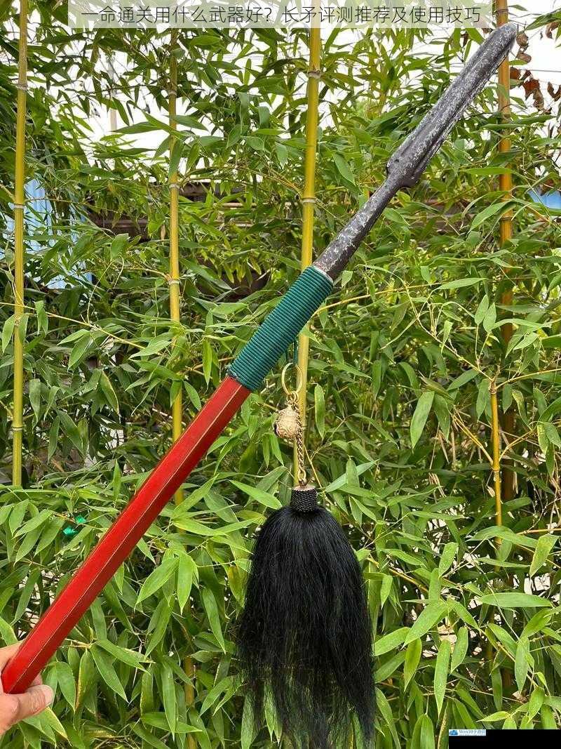 一命通关用什么武器好?长矛评测推荐及使用技巧