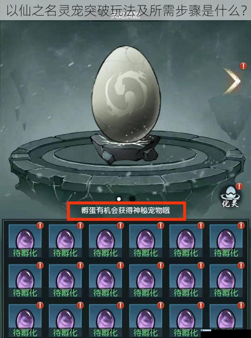 以仙之名灵宠突破玩法及所需步骤是什么?