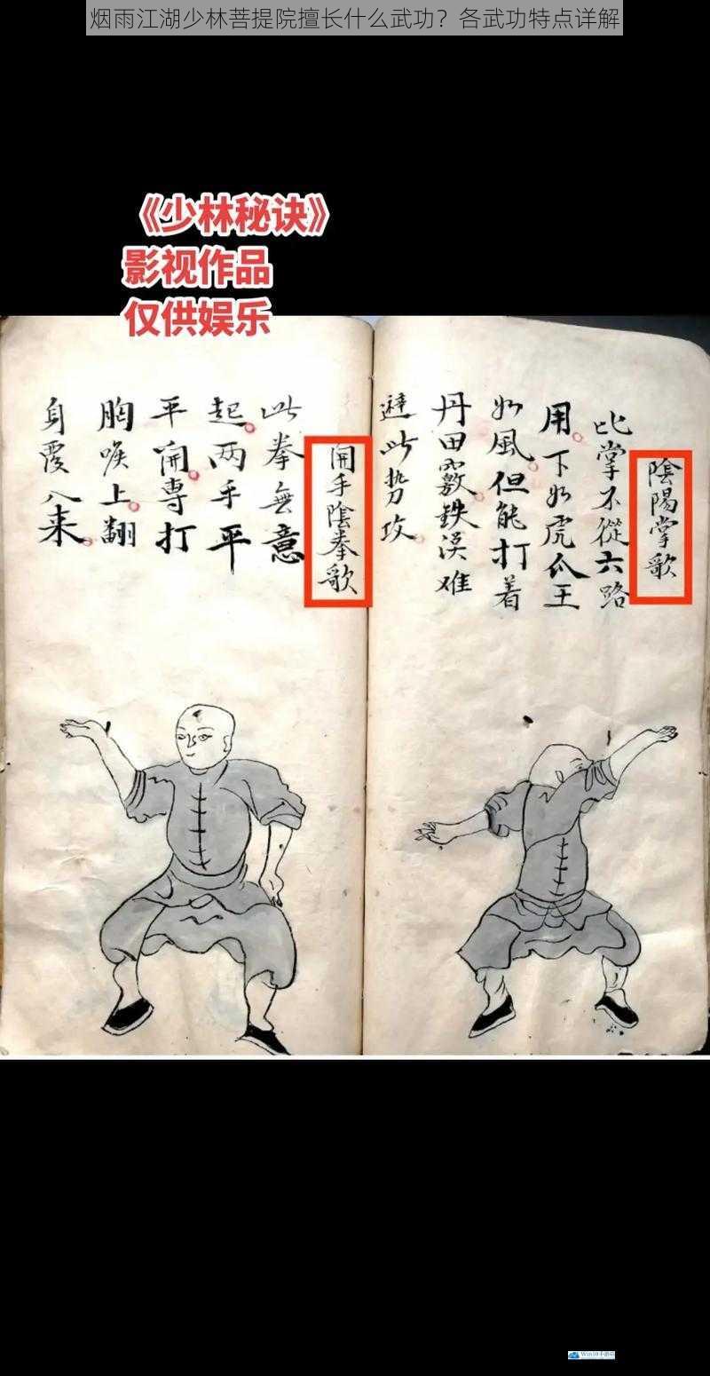 烟雨江湖少林菩提院擅长什么武功?各武功特点详解