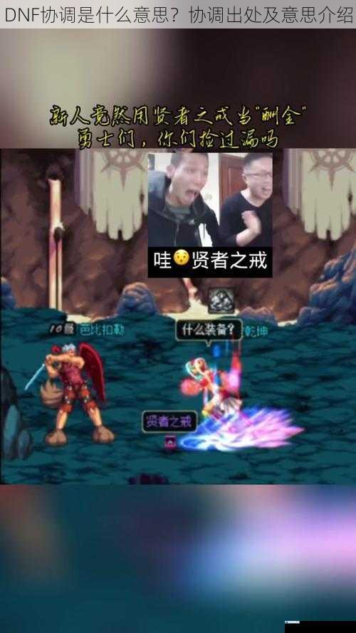 DNF 协调是什么意思?协调出处及意思介绍