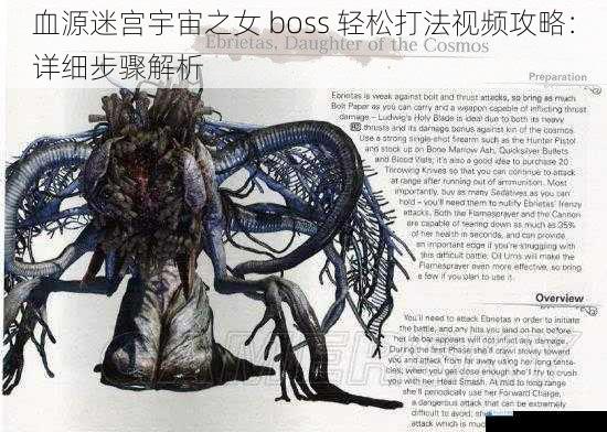 血源迷宫宇宙之女 boss 轻松打法视频攻略:详细步骤解析