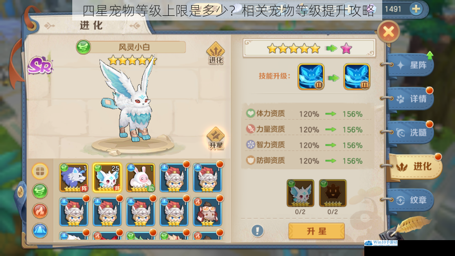 四星宠物等级上限是多少?相关宠物等级提升攻略