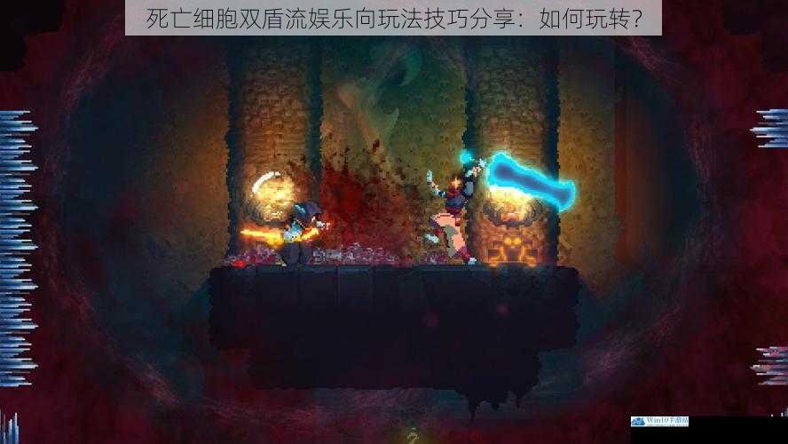 死亡细胞双盾流娱乐向玩法技巧分享:如何玩转?