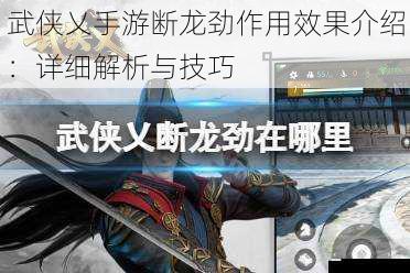 武侠乂手游断龙劲作用效果介绍:详细解析与技巧