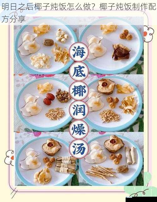 明日之后椰子炖饭怎么做?椰子炖饭制作配方分享