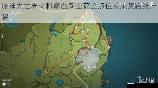 原神大世界材料塞西莉亚花全点位及采集路线详解