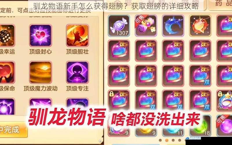驯龙物语新手怎么获得翅膀?获取翅膀的详细攻略