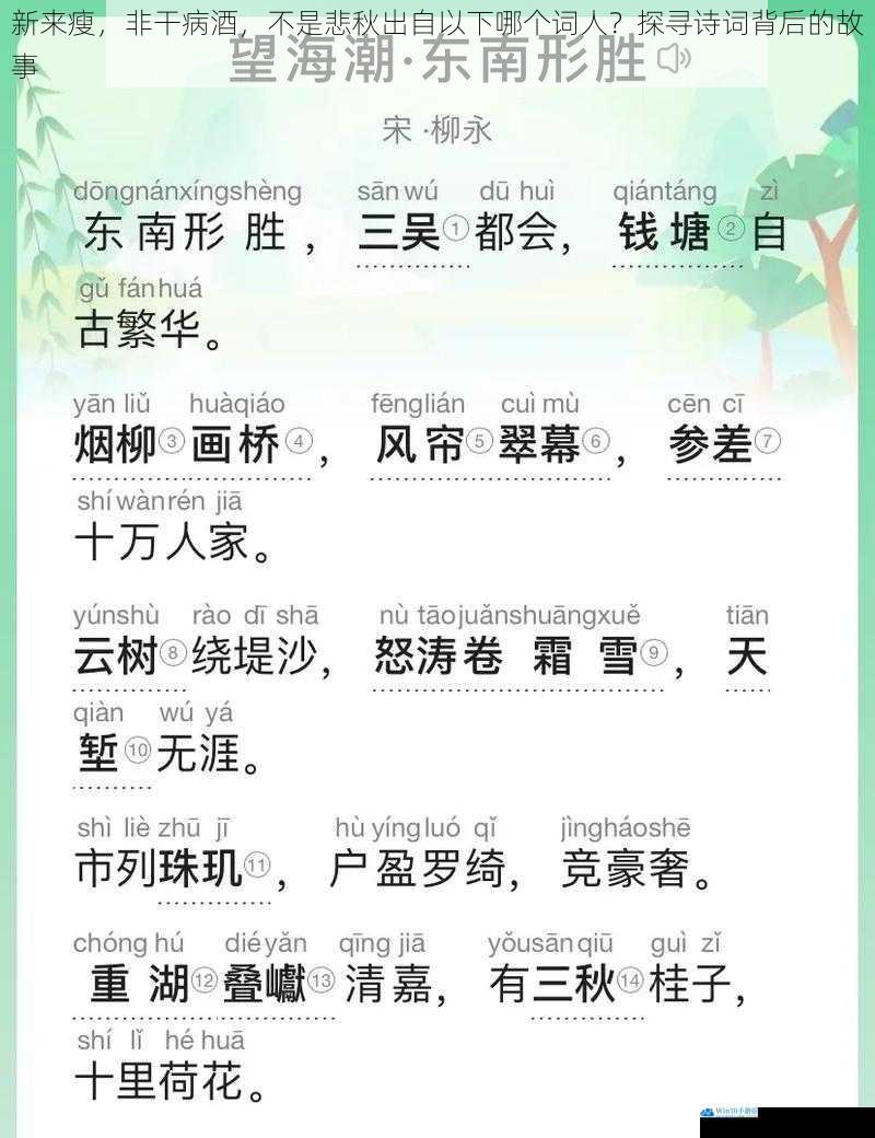 新来瘦,非干病酒,不是悲秋出自以下哪个词人?探寻诗词背后的故事