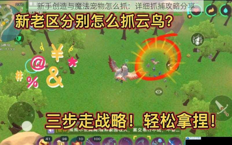 新手创造与魔法宠物怎么抓:详细抓捕攻略分享