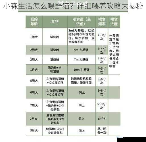 小森生活怎么喂野猫?详细喂养攻略大揭秘