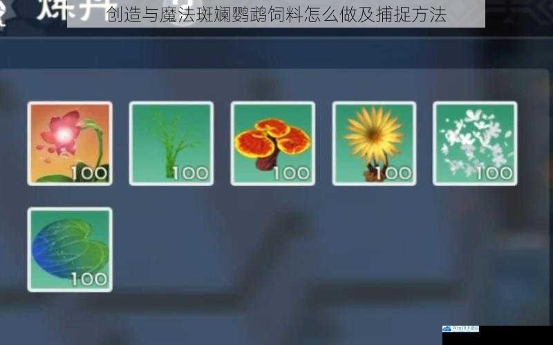 创造与魔法斑斓鹦鹉饲料怎么做及捕捉方法