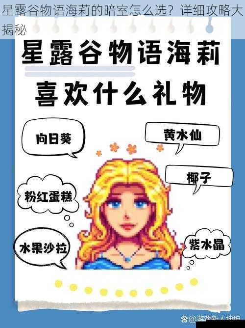 星露谷物语海莉的暗室怎么选?详细攻略大揭秘