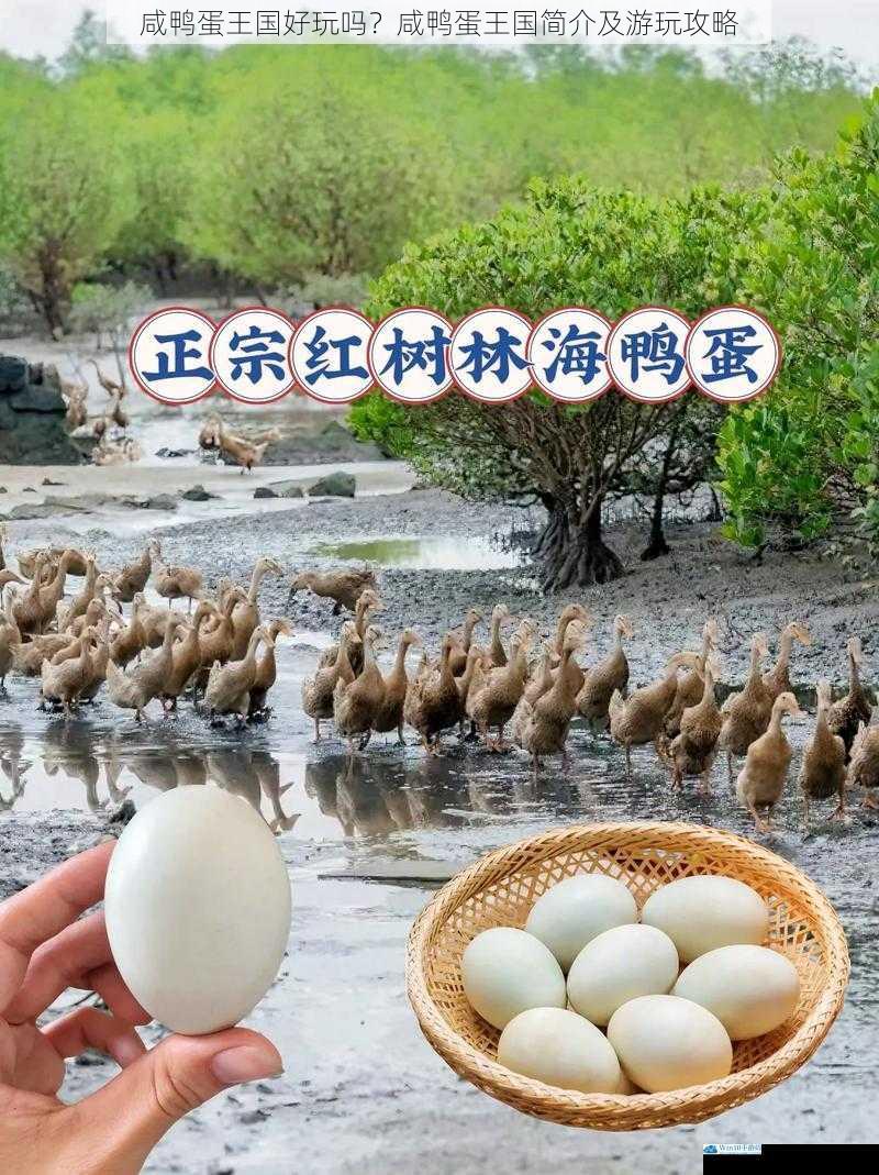 咸鸭蛋王国好玩吗?咸鸭蛋王国简介及游玩攻略