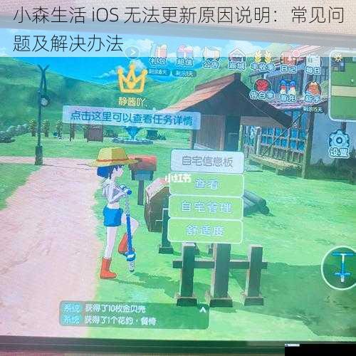 小森生活 iOS 无法更新原因说明:常见问题及解决办法