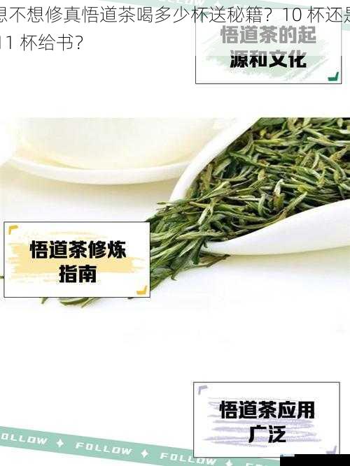想不想修真悟道茶喝多少杯送秘籍?10 杯还是 11 杯给书?