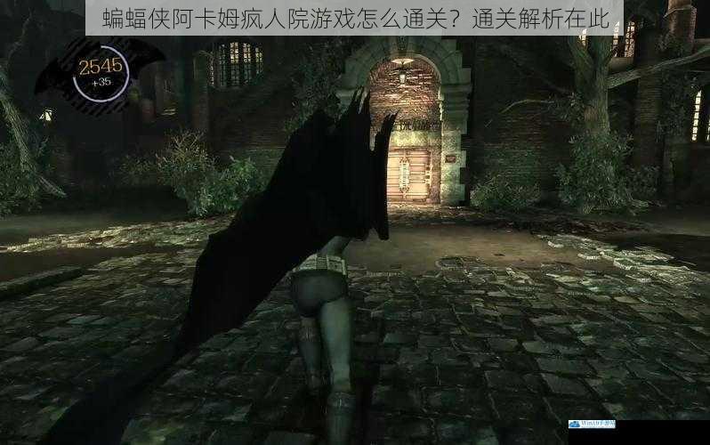 蝙蝠侠阿卡姆疯人院游戏怎么通关?通关解析在此