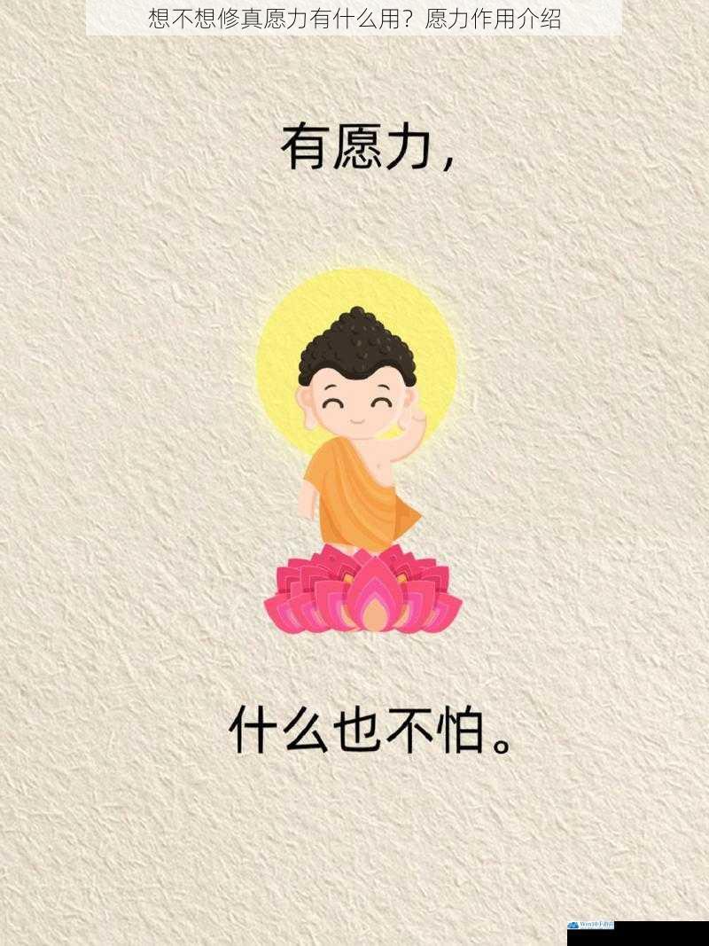 想不想修真愿力有什么用?愿力作用介绍
