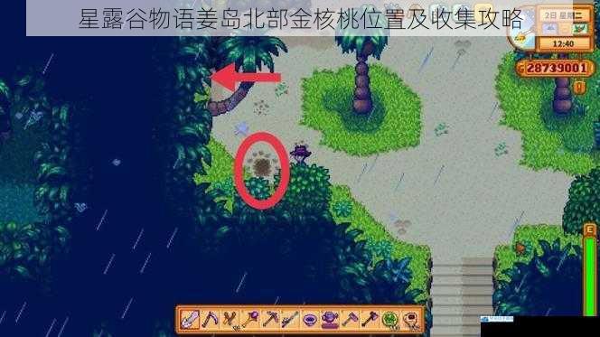星露谷物语姜岛北部金核桃位置及收集攻略