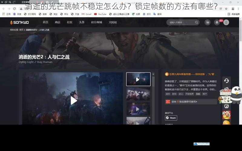 消逝的光芒跳帧不稳定怎么办?锁定帧数的方法有哪些?