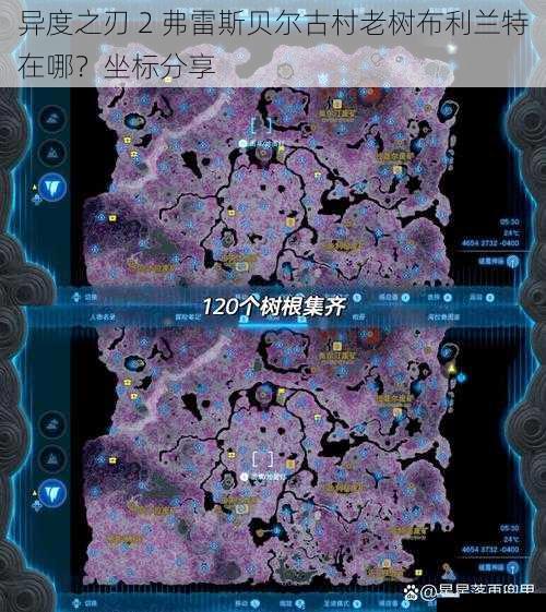 异度之刃 2 弗雷斯贝尔古村老树布利兰特在哪?坐标分享
