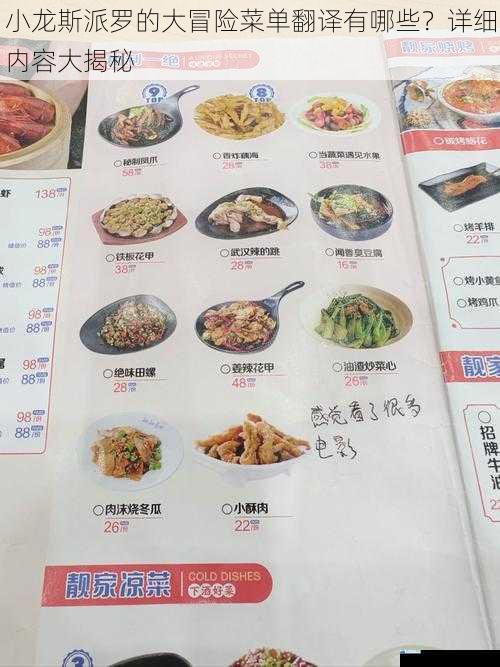 小龙斯派罗的大冒险菜单翻译有哪些?详细内容大揭秘