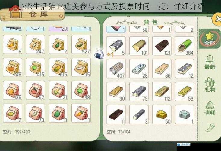 小森生活猫咪选美参与方式及投票时间一览:详细介绍