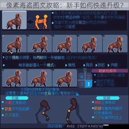 像素海盗图文攻略:新手如何快速升级?