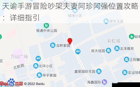 天谕手游冒险吵架夫妻阿珍阿强位置攻略:详细指引