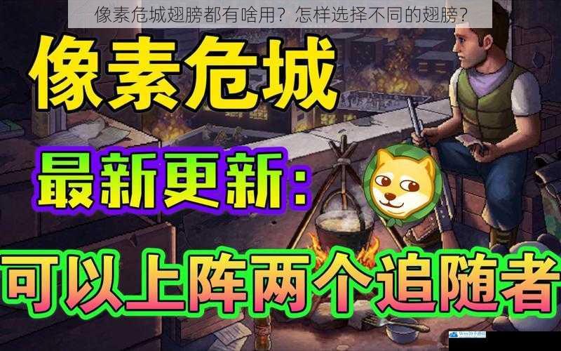 像素危城翅膀都有啥用?怎样选择不同的翅膀?
