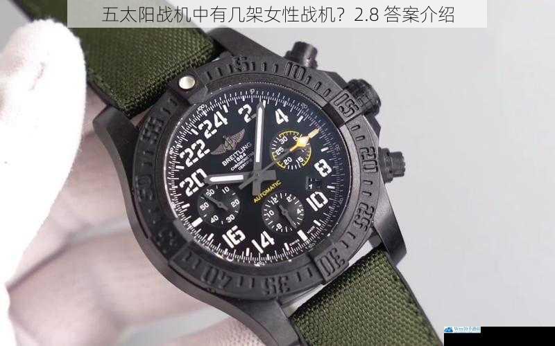 五太阳战机中有几架女性战机?2.8 答案介绍
