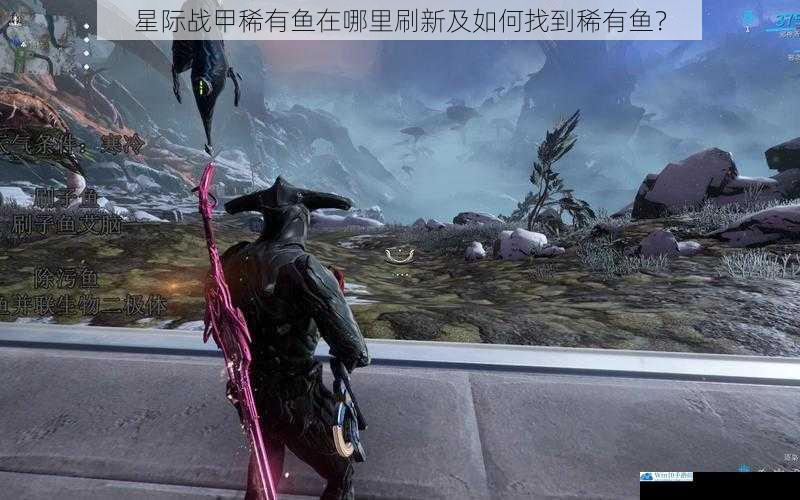 星际战甲稀有鱼在哪里刷新及如何找到稀有鱼?