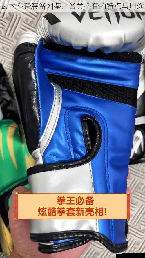 武术拳套装备图鉴:各类拳套的特点与用途