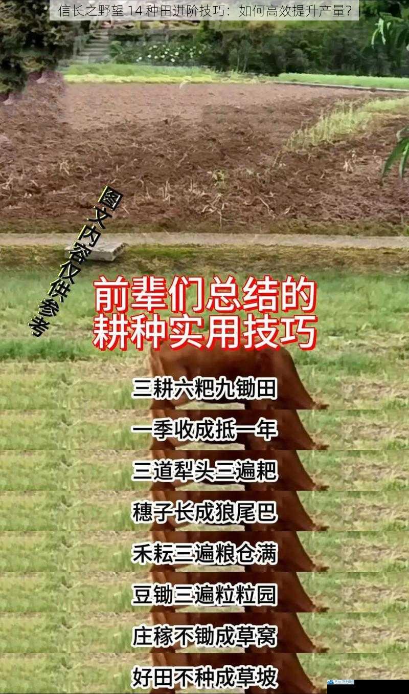 信长之野望 14 种田进阶技巧:如何高效提升产量?