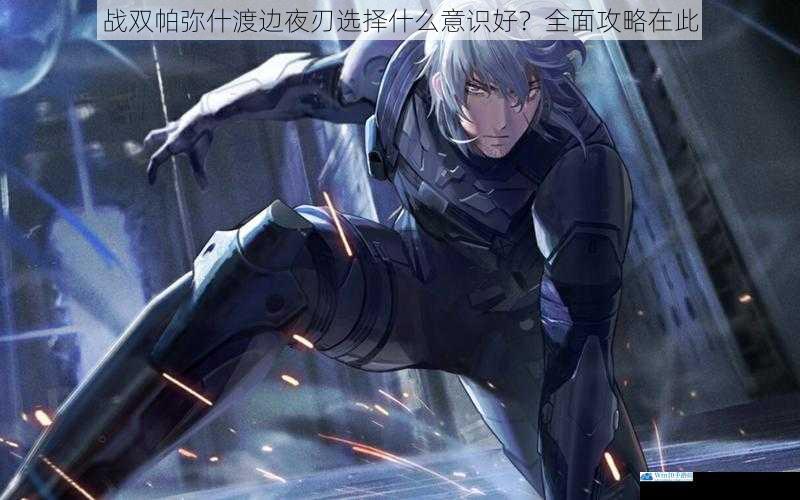 战双帕弥什渡边夜刃选择什么意识好?全面攻略在此