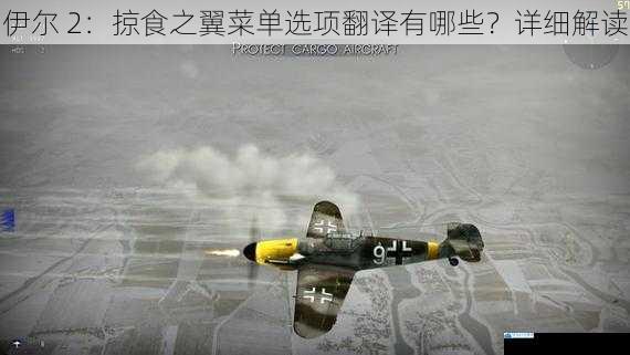 伊尔 2:掠食之翼菜单选项翻译有哪些?详细解读