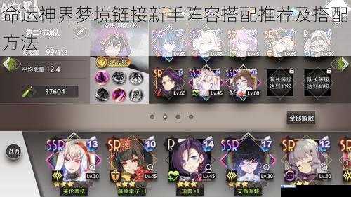命运神界梦境链接新手阵容搭配推荐及搭配方法