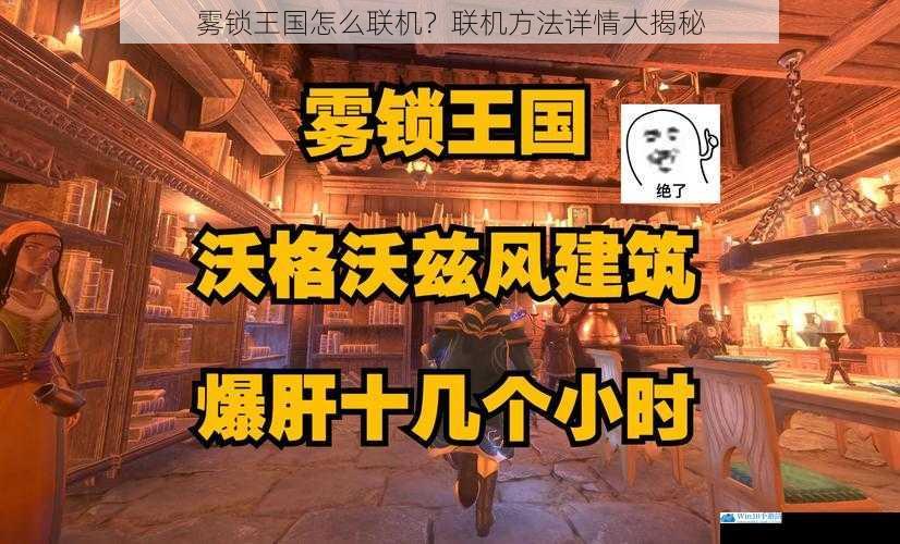 雾锁王国怎么联机?联机方法详情大揭秘
