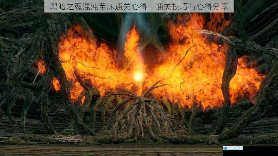 黑暗之魂混沌苗床通关心得:通关技巧与心得分享