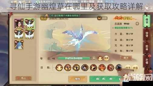 寻仙手游幽煌草在哪里及获取攻略详解