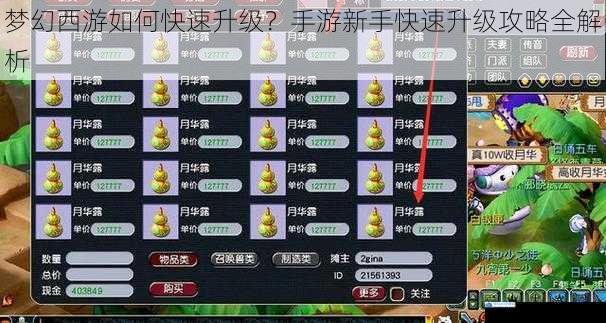 梦幻西游如何快速升级?手游新手快速升级攻略全解析