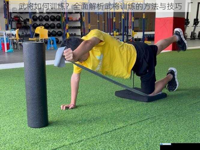 体能训练:打造坚韧体魄