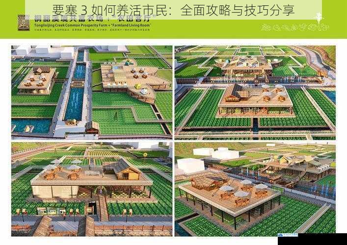 合理规划农田布局