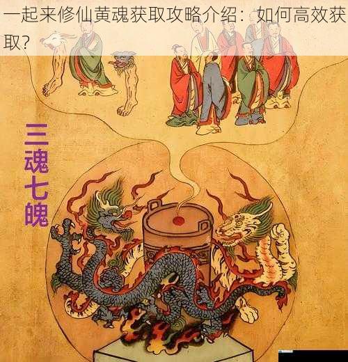 修炼功法与黄魂获取