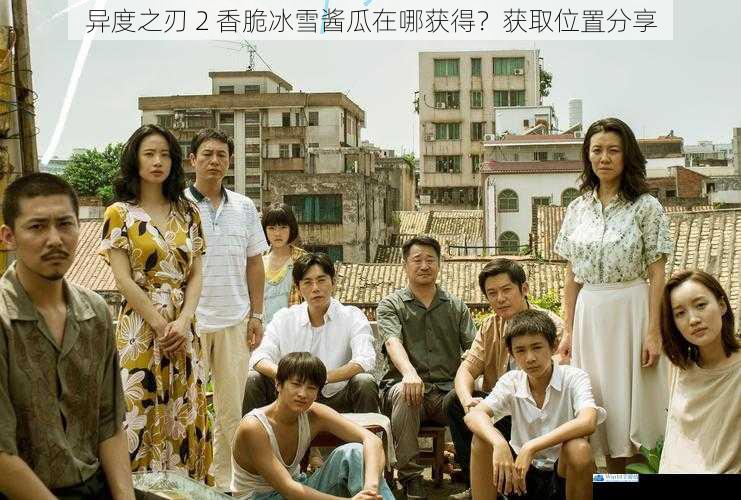神秘森林的隐藏角落
