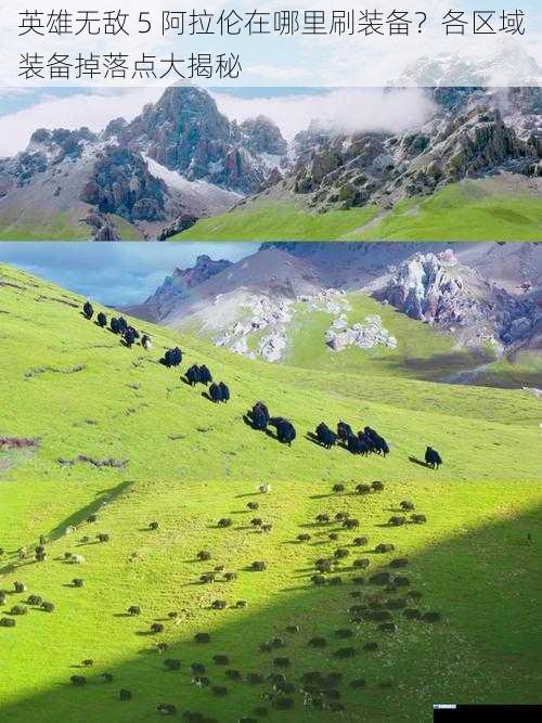 荒野之地