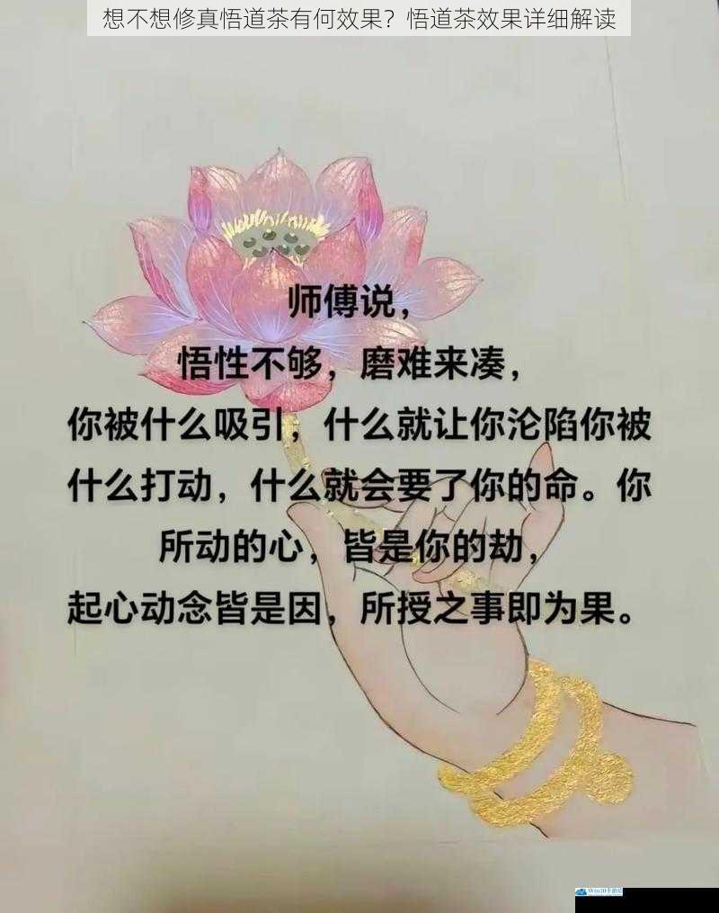提升悟性,加速修行