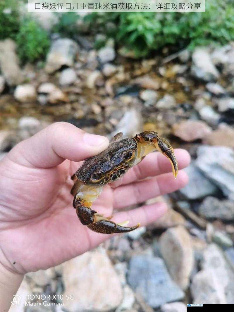 野外捕捉