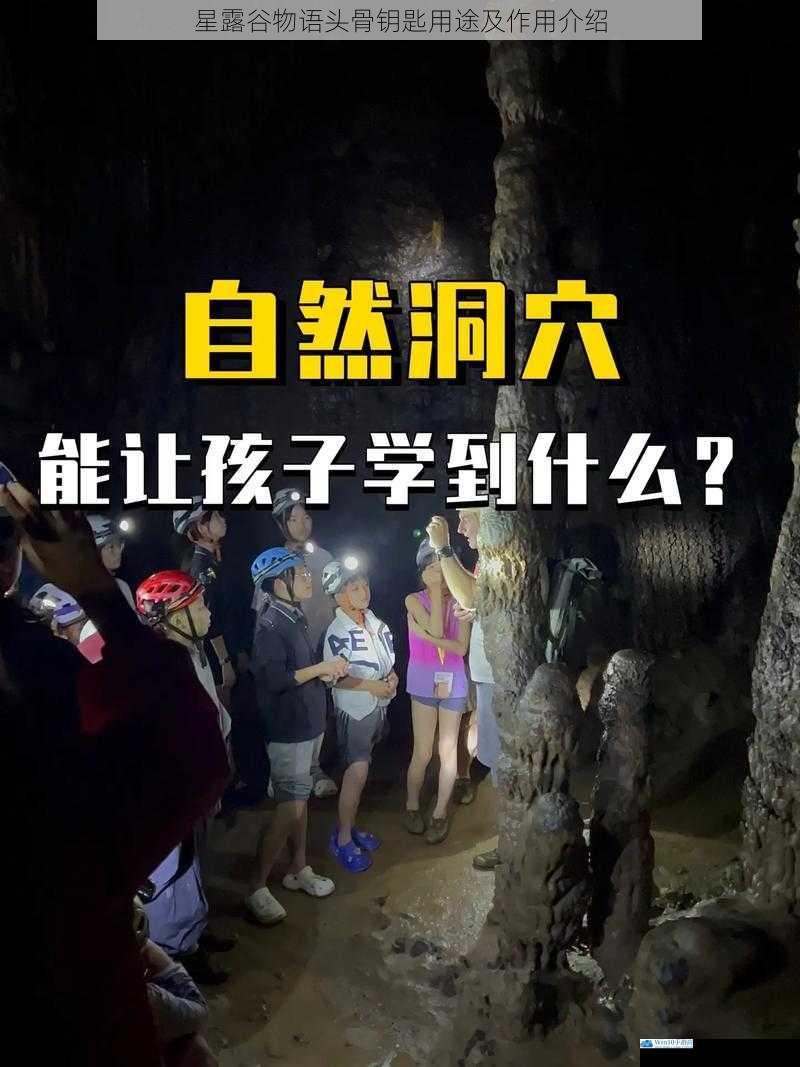 开启隐藏洞穴