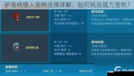 宠物属性与职业适配